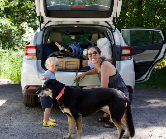 Our favorite tips for road trips with a toddler